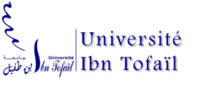 Université Ibn Tofail